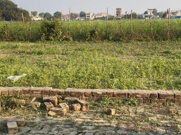 Plot Area in  Plot at Kamta – for Sale