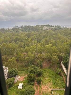 3 BHK Apartment – Garden View at Sobha Forest View, Kanakapura Road - for Sale