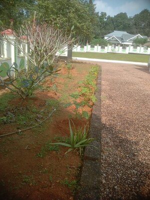 6+ BHK Villa – Garden View at Mc Road - for Sale