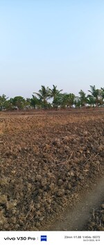 1100 Sq.Ft. Plot in Kamothe