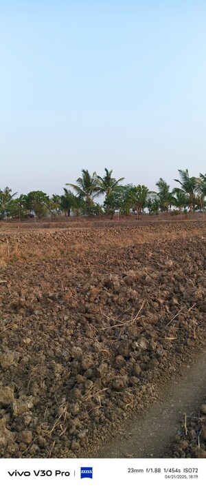  Plot For Sale in Kamothe