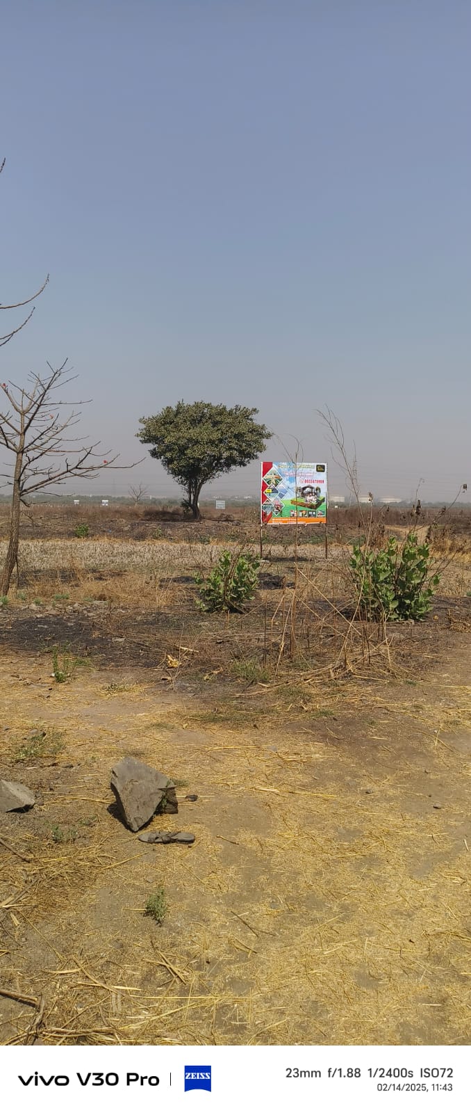 Plot For Sale in Dronagiri
