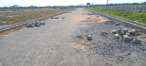 Plot Area in  Plot at Pamarru – for Sale