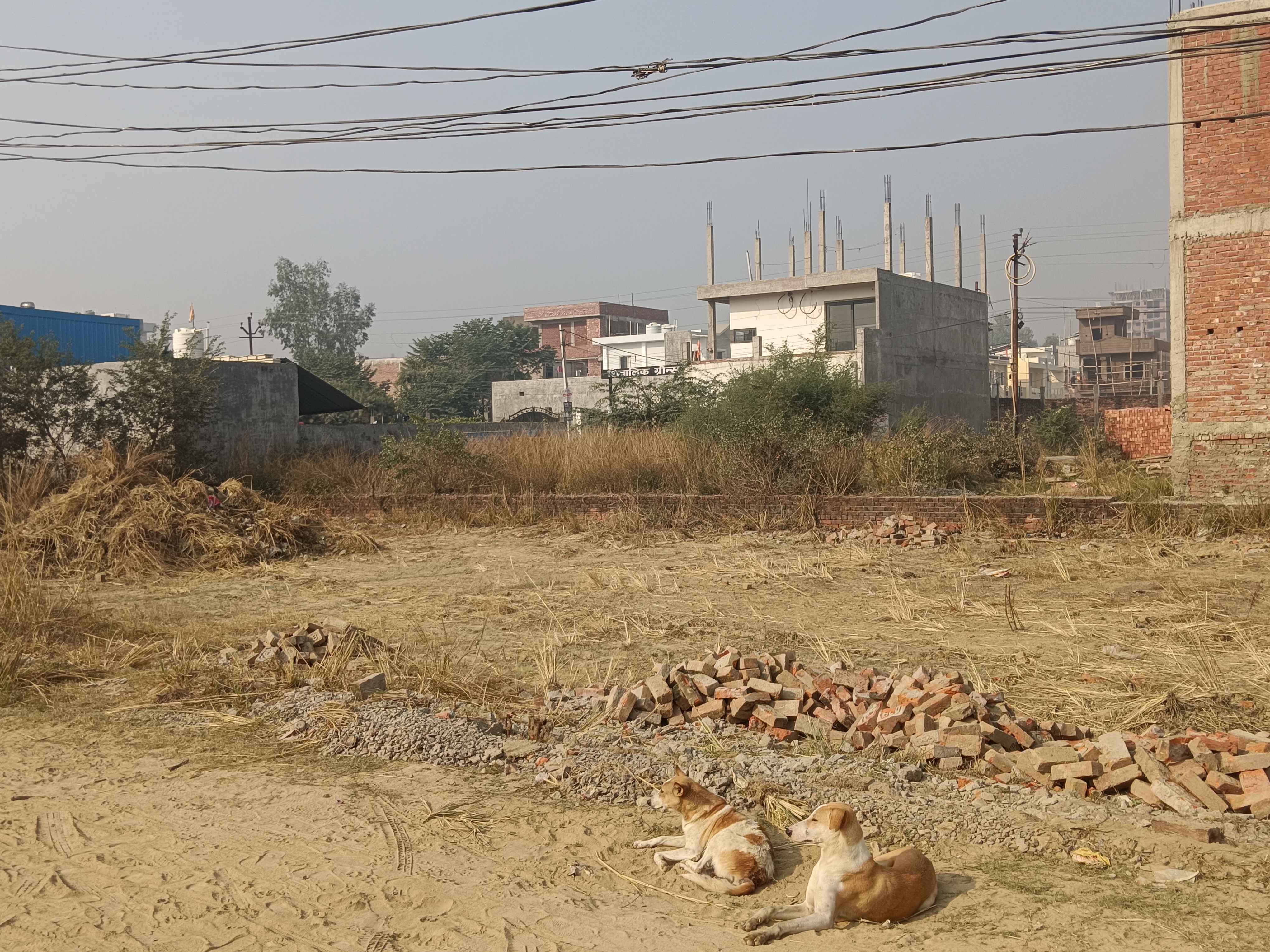 Plot For Sale in Royal City Phase 1