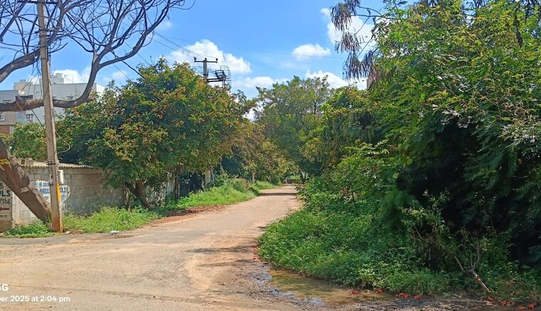 Garden, balaji layout  6000 Sq.Ft. Plot In Balaji Layout Bangalore 9639957