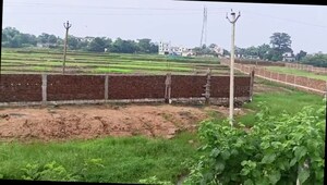 Plot Area in  Land at Neuri – for Sale