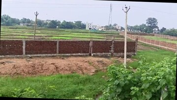 Plot Area in  Land at Neuri – for Sale