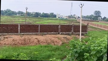 Plot Area in  Land at Neuri – for Sale