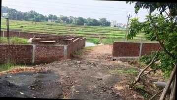 Plot Area in  Land at Neuri – for Sale