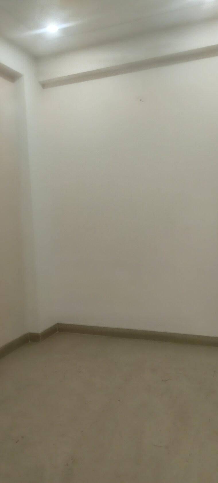 Room, sai-homes-sector-49 2 Bedroom 800 Sq.Ft. Builder Floor In Sector 49 Noida 9640224