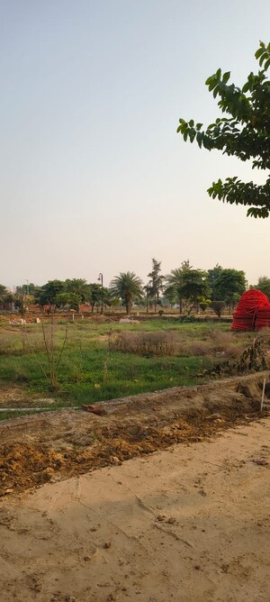 Plot Area in  Plot at Sujanpur – for Sale