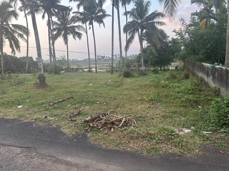 undefined, olarikara  4356 Sq.Ft. Plot In Olarikara Thrissur 9640684