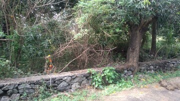  Plot For Sale in Chembukkav