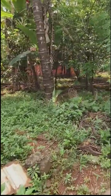  Plot – Garden View at Mannuthy - for Sale