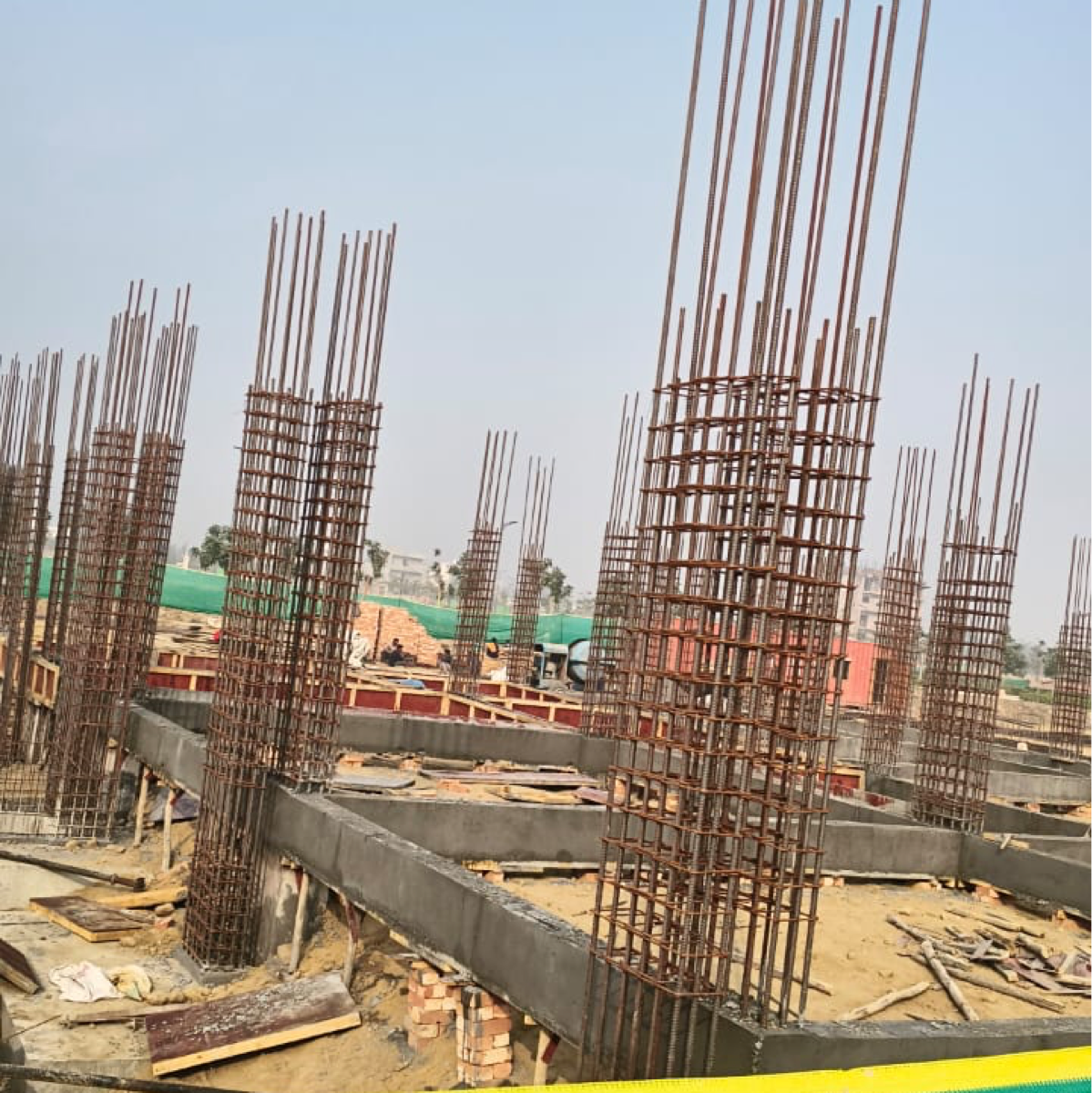 3 BHK + Pooja Room Builder Floor For Sale in Tdi City