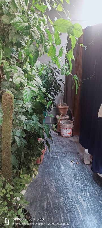 3 BHK Builder Floor – Exterior View View at Shiv Nagar - for Sale