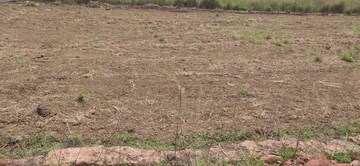 Plot Area in  Plot at Sundarpada – for Sale