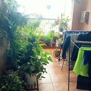 Balcony in 3 BHK Apartment at Kalpataru Estate Building 8, Pimple Gurav – for Rent