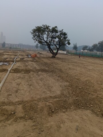  Plot For Sale in Sushant Golf City