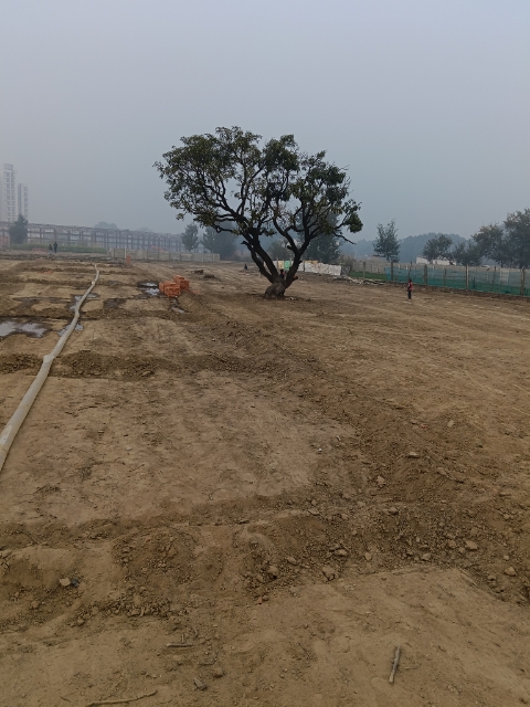 Plot For Sale in Sushant Golf City