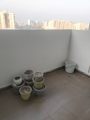 Living Room in 2 BHK Apartment at Tulip Lemon, Sector 69 – for Rent