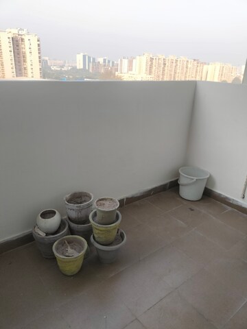 Living Room in 2 BHK Apartment at Tulip Lemon, Sector 69 – for Rent