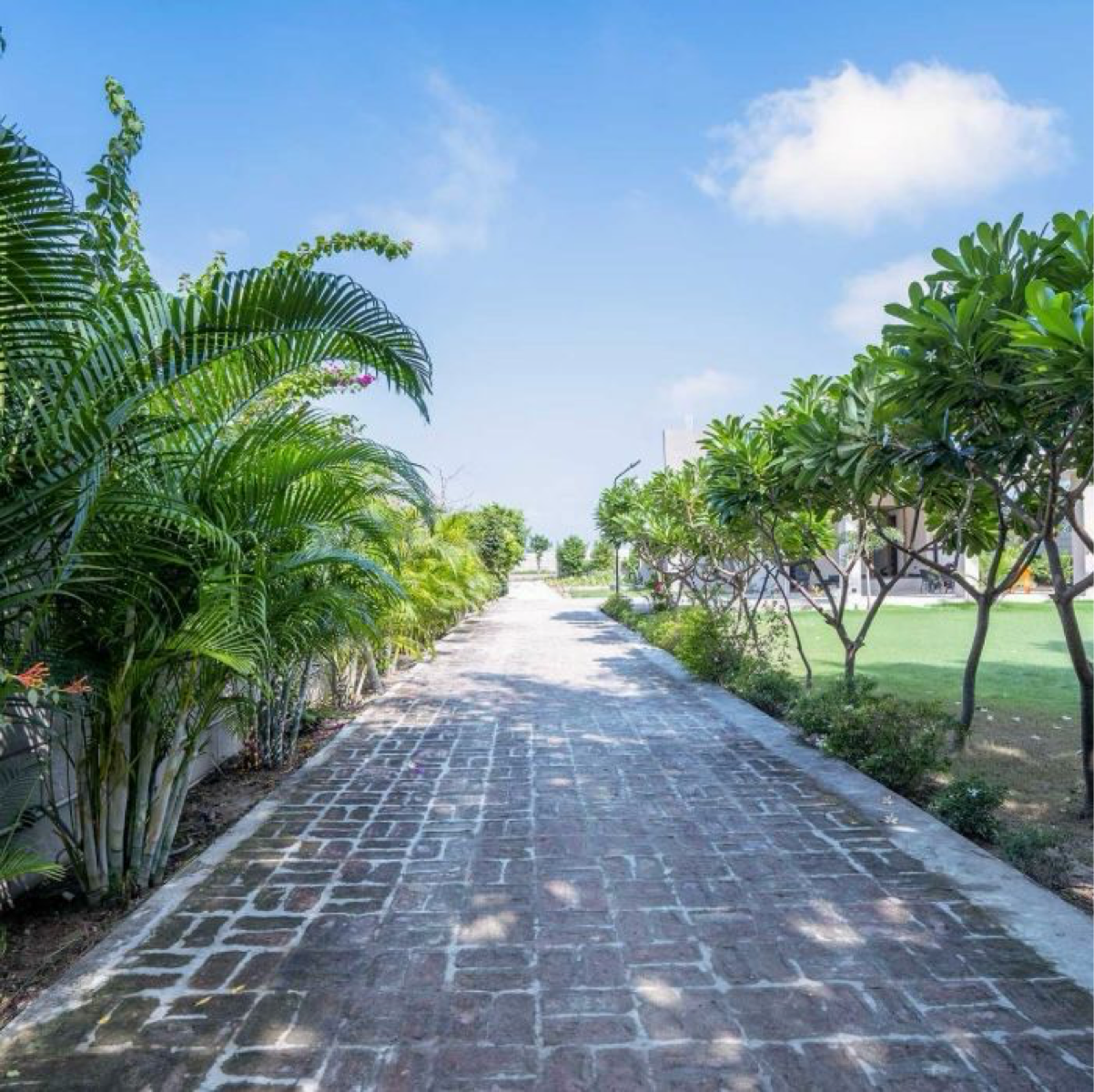 3.5 BHK + Pooja Room 2350 Sq.Ft. Apartment in Eldeco Trinity