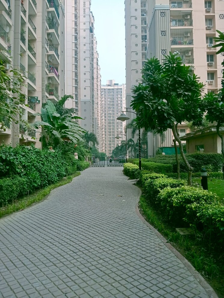 Garden, niho-saffron-scottish-garden 3 Bedroom 1875 Sq.Ft. Builder Floor In Ahinsa Khand 2 Ghaziabad 9643601