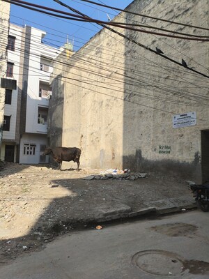  Plot – Exterior View View at Mohan Garden - for Sale