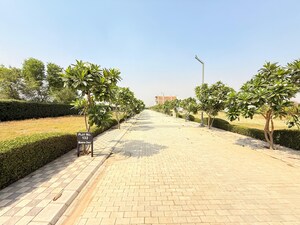  Plot For Sale in Sector 98