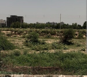  Plot For Sale in Sector 85