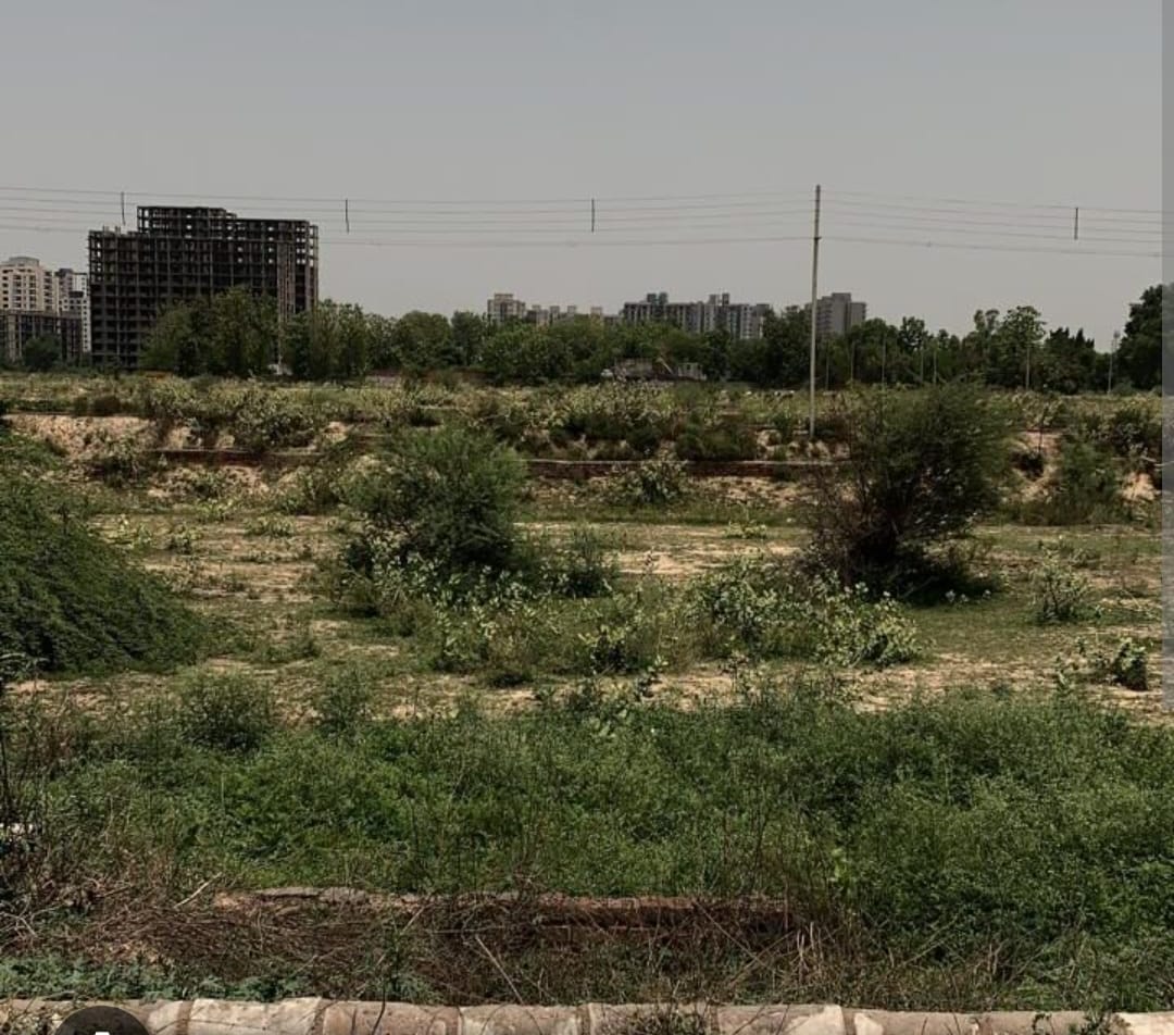Plot For Sale in Sector 85 E Block