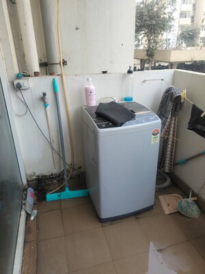 2 BHK Apartment For Rent in Tulip Lemon, Sector 69