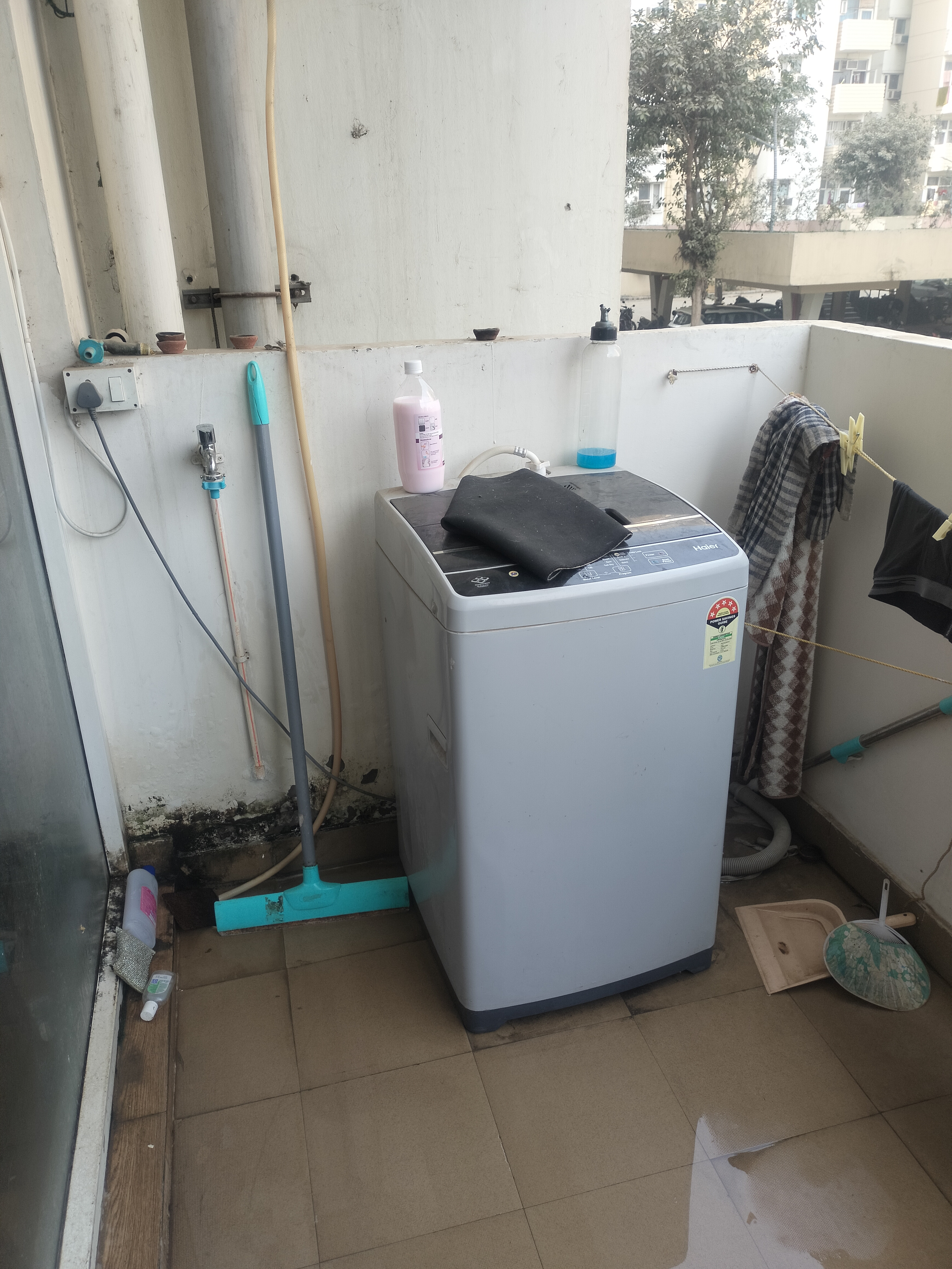 2 BHK Apartment For Rent in Tulip Lemon