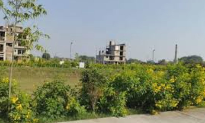 Plot For Sale in Sector 85