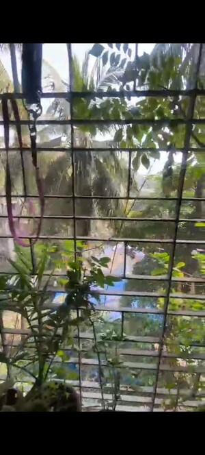 3 BHK Apartment – Exterior View View at Excella Apartment Co-op Housing Society Ltd, Bandra West - for Sale