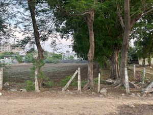 Plot Area in  Plot at Bicholi Mardana – for Sale