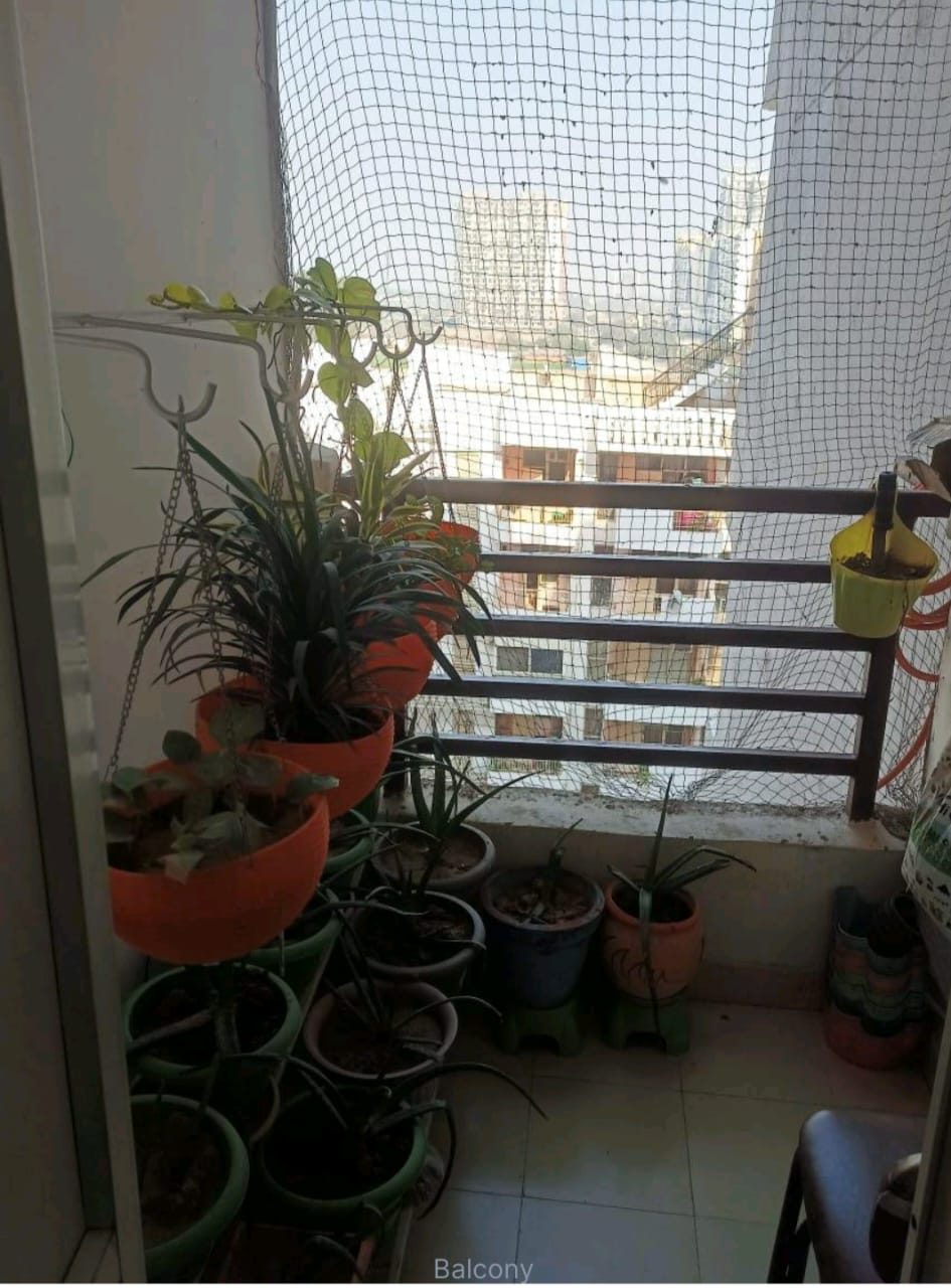 2 BHK + Pooja Room Apartment For Rent in Meenal Balmukund Residency