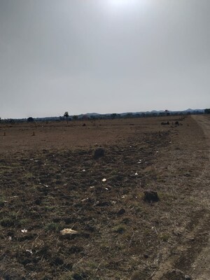 Plot Area in  Plot at Panjari – for Sale
