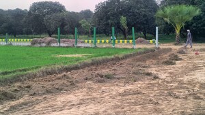  Plot For Sale in Sector 145