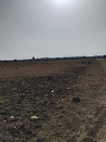 1215 Sq.Ft. Plot in Shree Shyam Properties