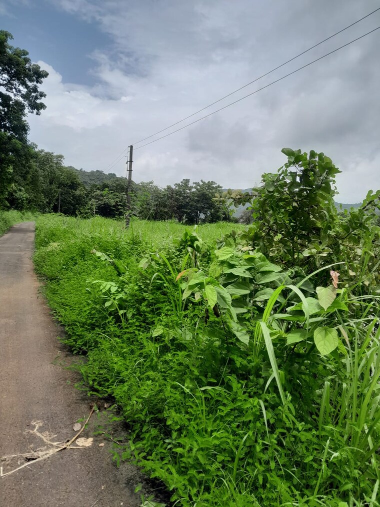 Garden, dapoli  7 Acre Plot In Dapoli Ratnagiri 9646068