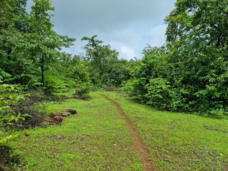 Garden, dapoli  7 Acre Plot In Dapoli Ratnagiri 9646068
