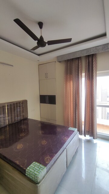 3 BHK Apartment For Rent in Gomti Homes, Nabha