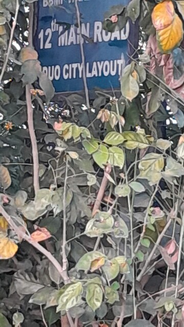  Plot For Sale in Duo City, Hosur Road