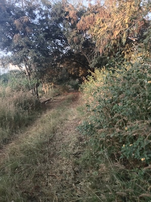 Plot Area in  Plot at Duo City, Hosur Road – for Sale