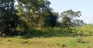 Plot Area in  Plot at Sualkuchi – for Sale