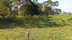  Plot For Sale in Sualkuchi