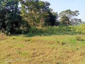 Plot Area in  Plot at Sualkuchi – for Sale