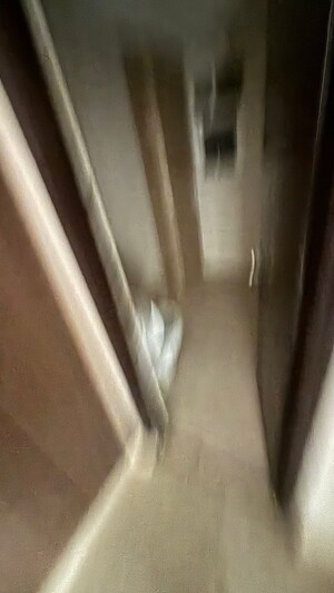 Building Lobby in 4 BHK Apartment at Antriksh Nature, Sector 52 – for Sale